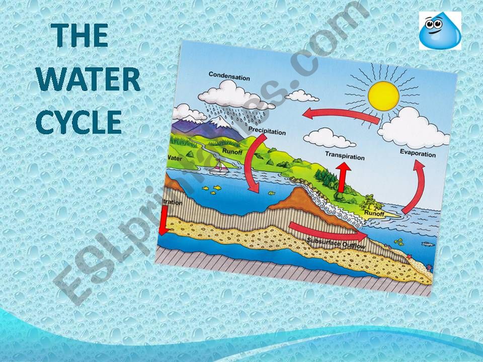 THE WATER CYCLE powerpoint