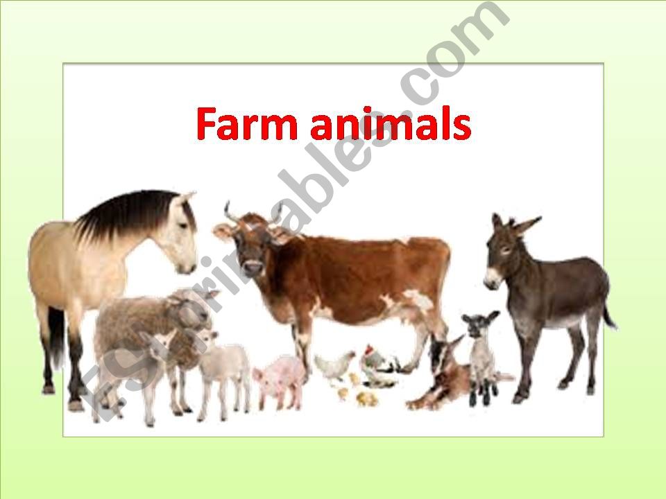 farm animals powerpoint