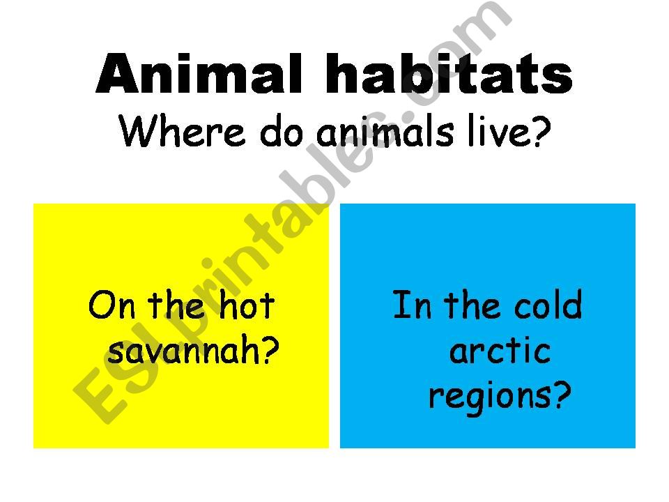 ESL English PowerPoints Animal habitat