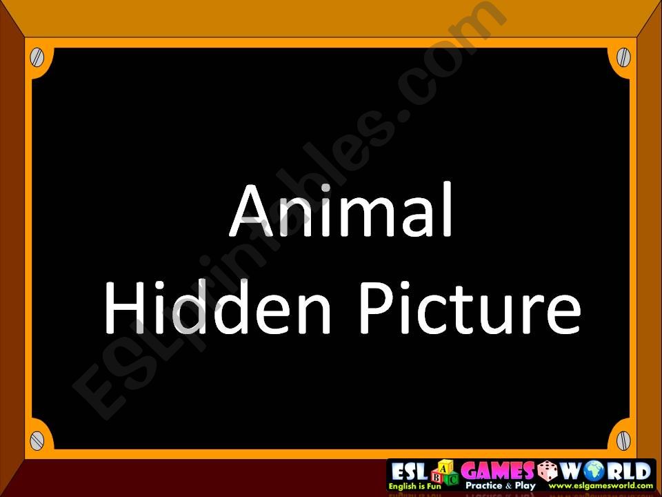 animals hidden picture powerpoint