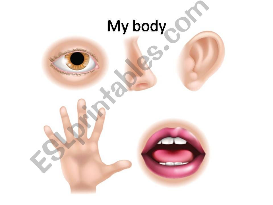 Body parts powerpoint