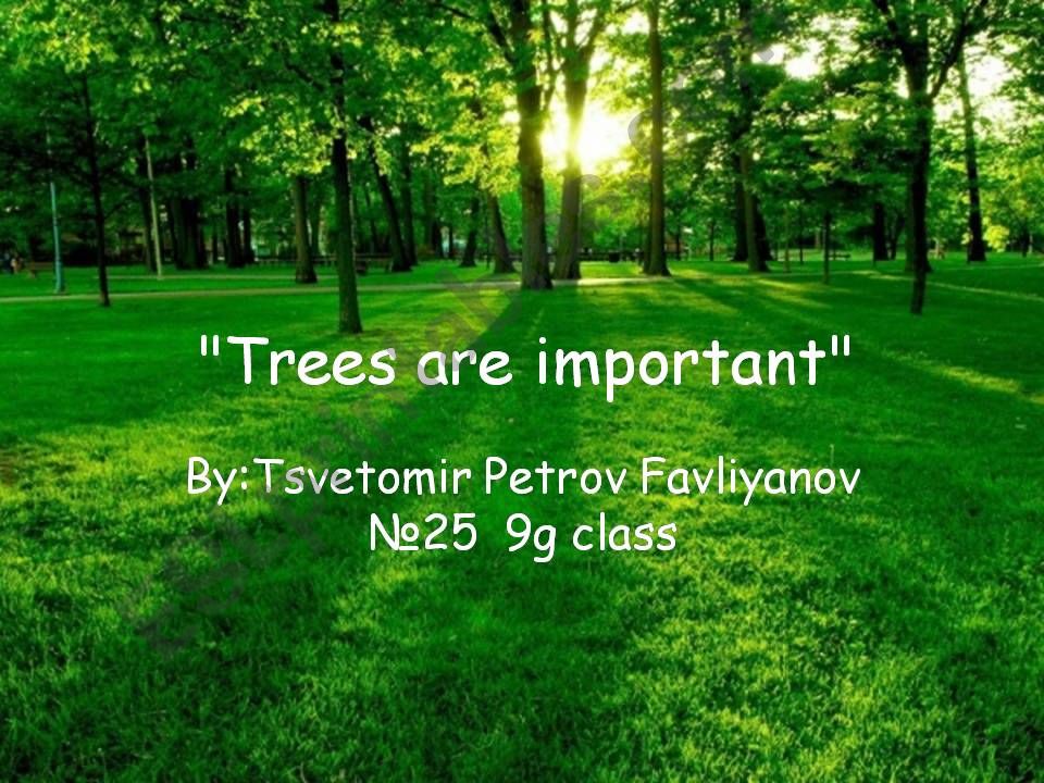 Trees are important powerpoint