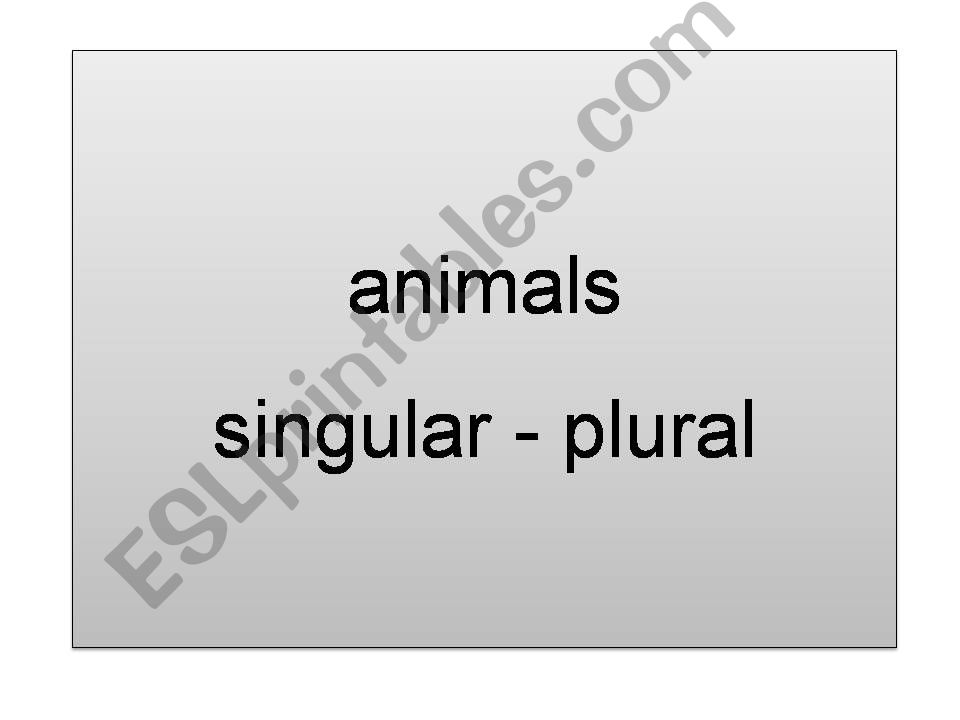 animals singular plural (part1/3)
