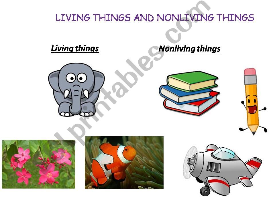 Living and Non living things powerpoint