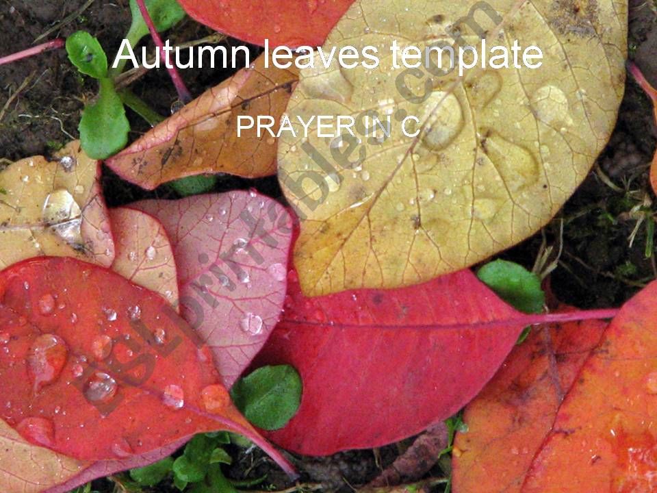 Prayer in C powerpoint