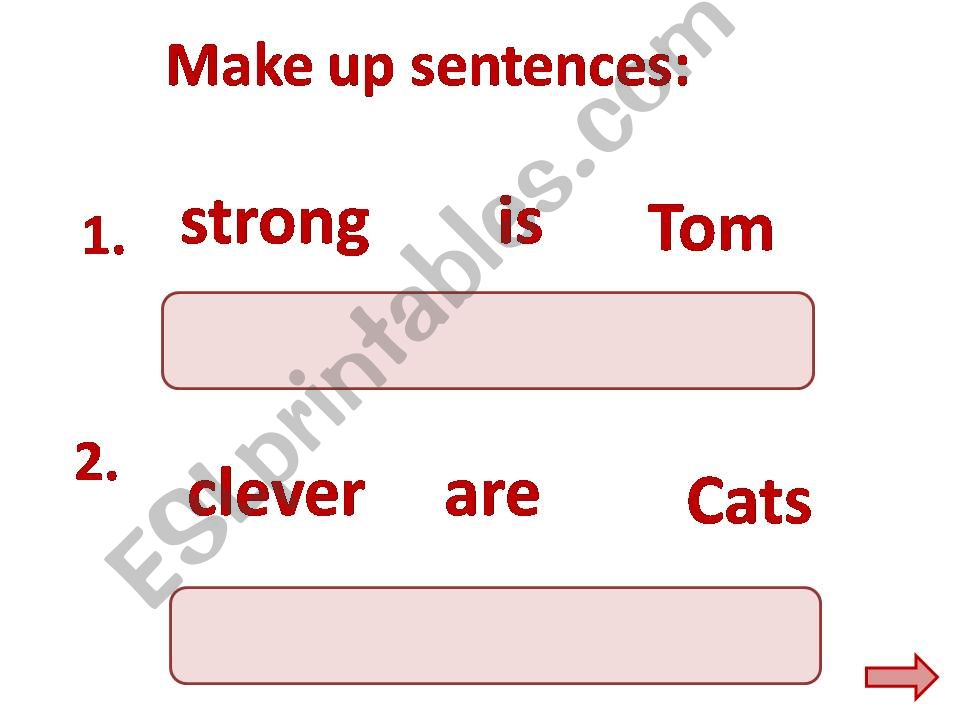 Word Order in an English sentence.