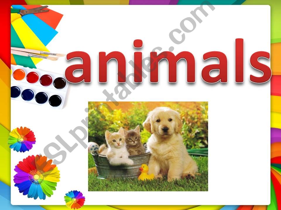 animals powerpoint