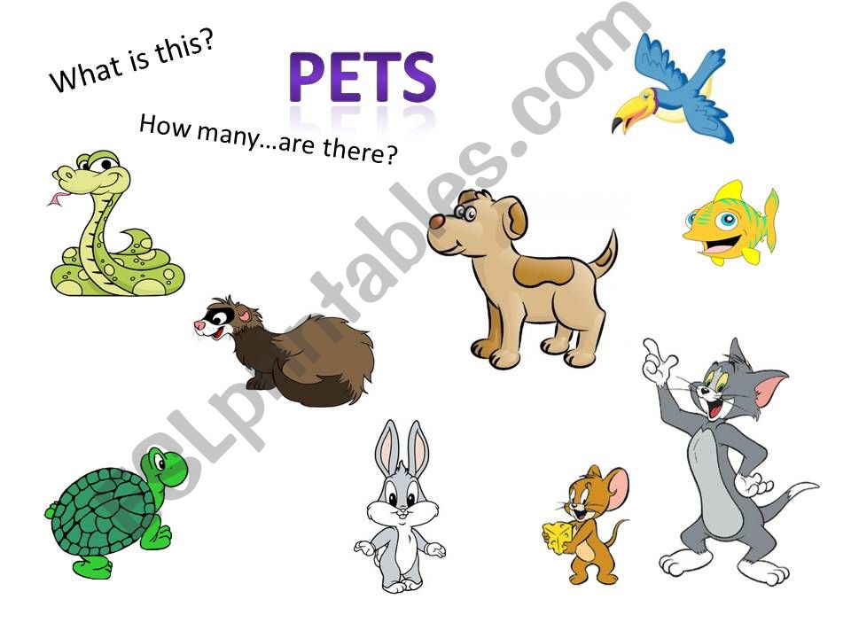 Pets powerpoint