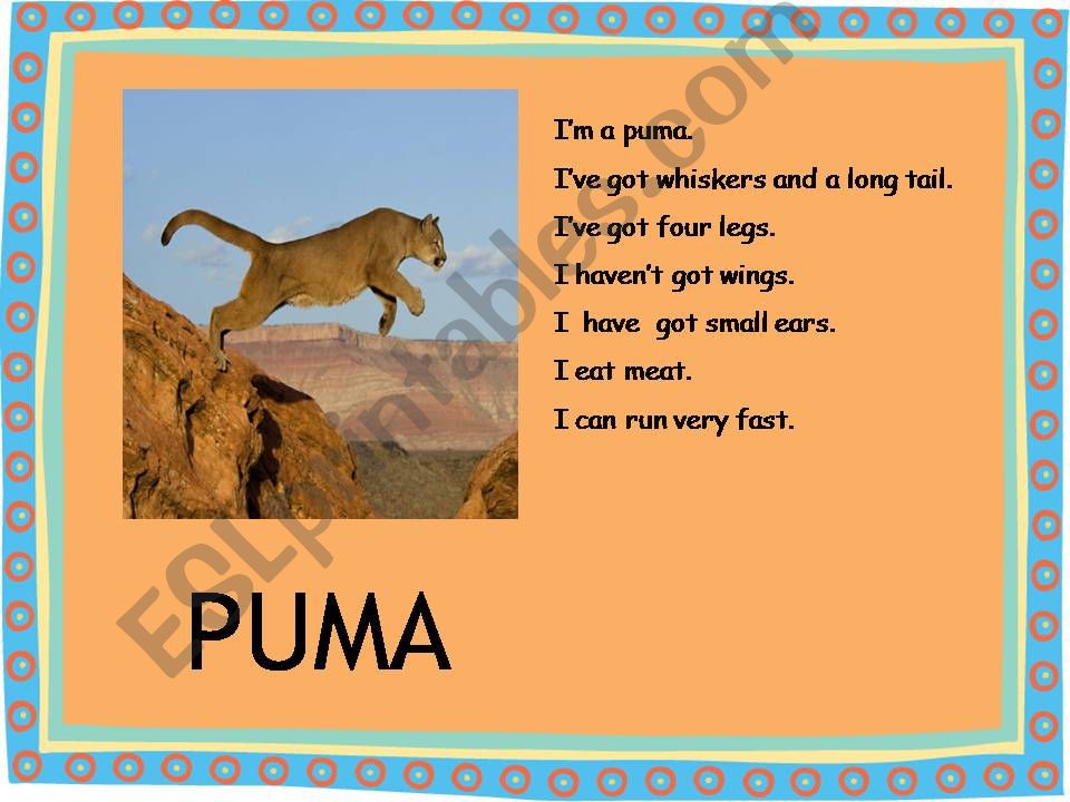 Describing Animals powerpoint