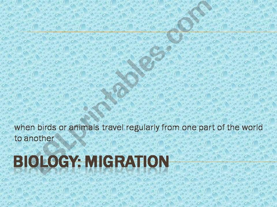Biology: Migration powerpoint