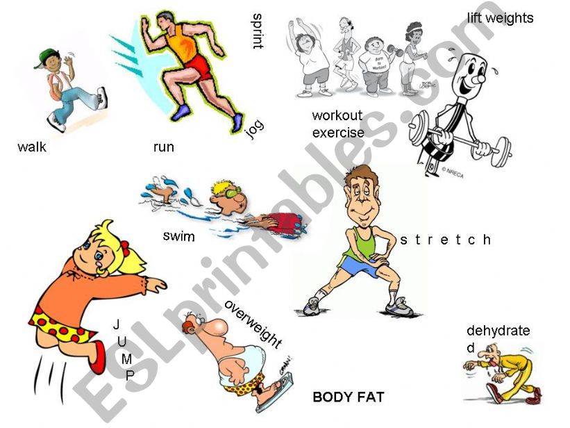 Exercise Vocabulary Collage powerpoint