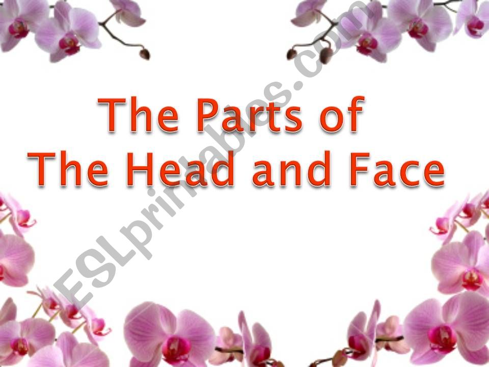 parts of face powerpoint