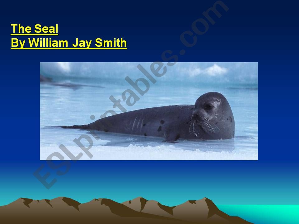 The Seal  powerpoint