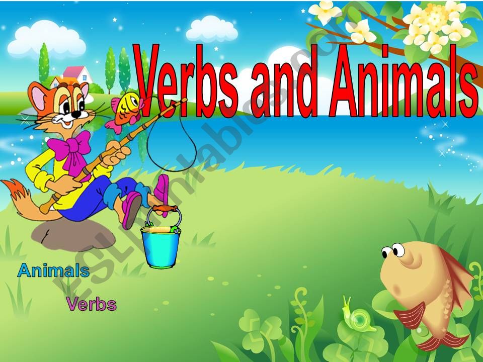 Animals and Verbs powerpoint