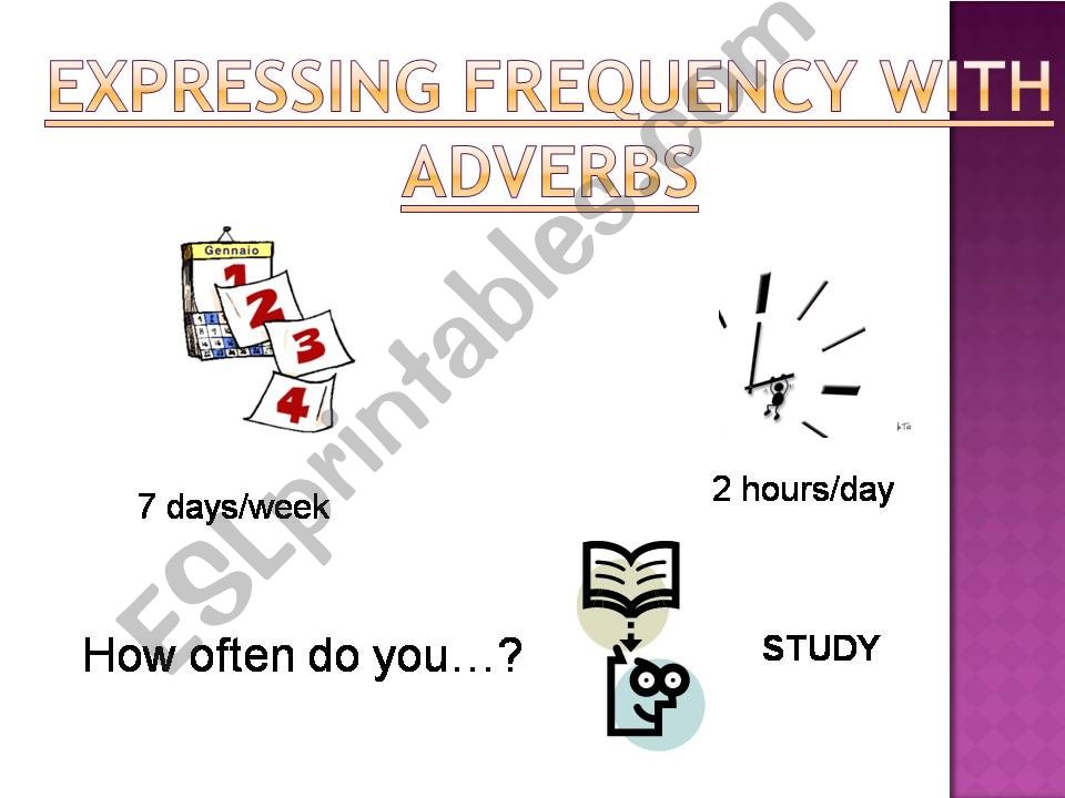 Adverbs and frecuency powerpoint