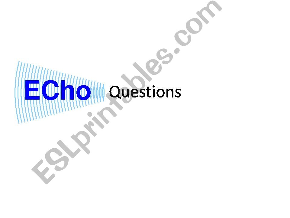 Echo questions ( Does he? Did you? She can ?)