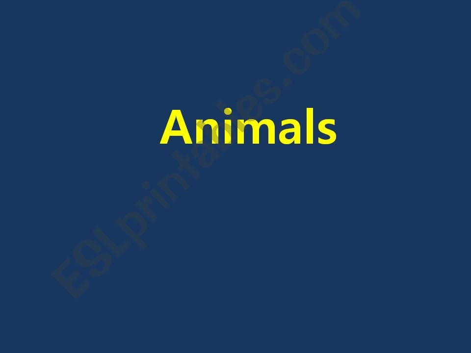 What can this animal do? powerpoint