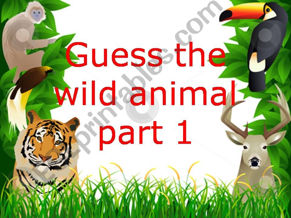 Guess the wild animals - part 1