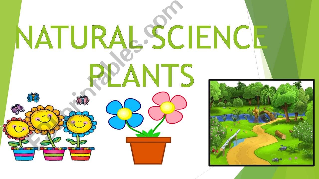 NATURAL SCIENCE - PLANTS powerpoint