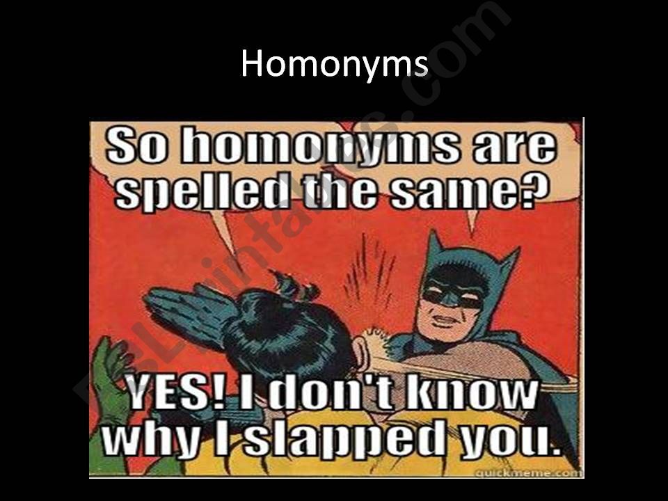 Homonyms powerpoint