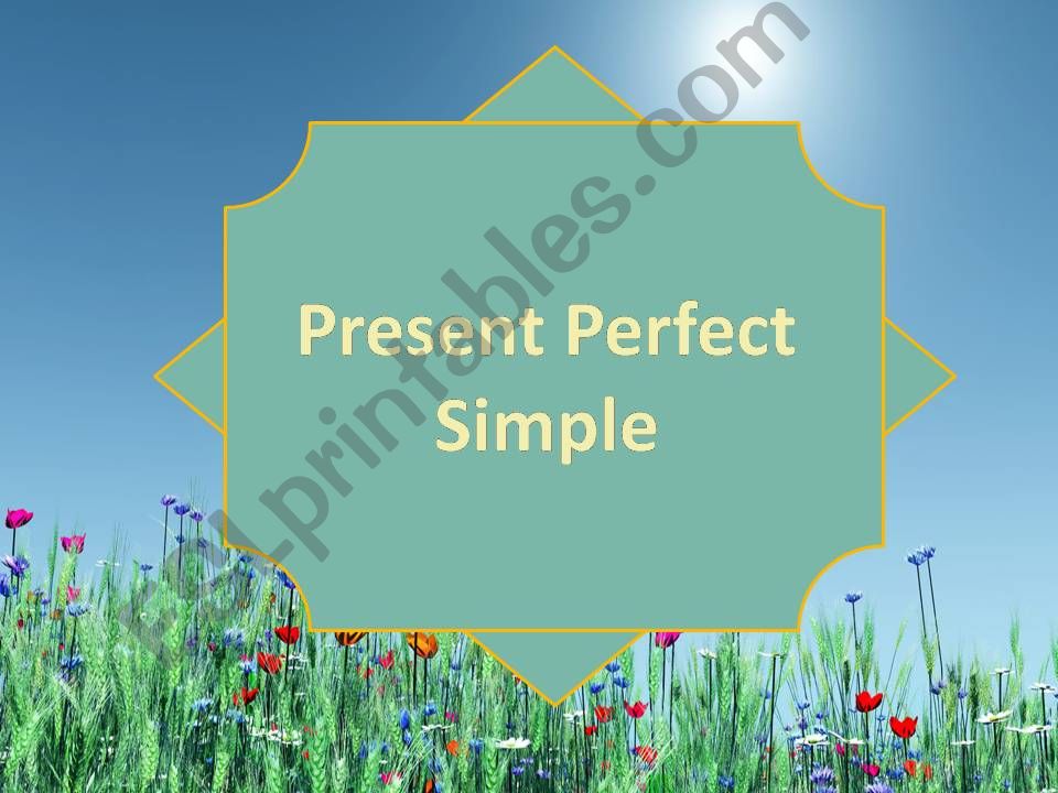 present perfect simple  powerpoint