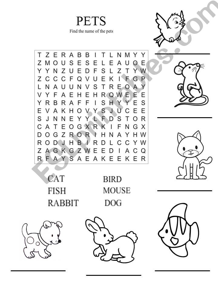 Wordsearch pets powerpoint