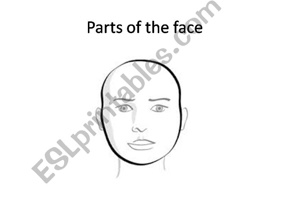 Parts of the face powerpoint