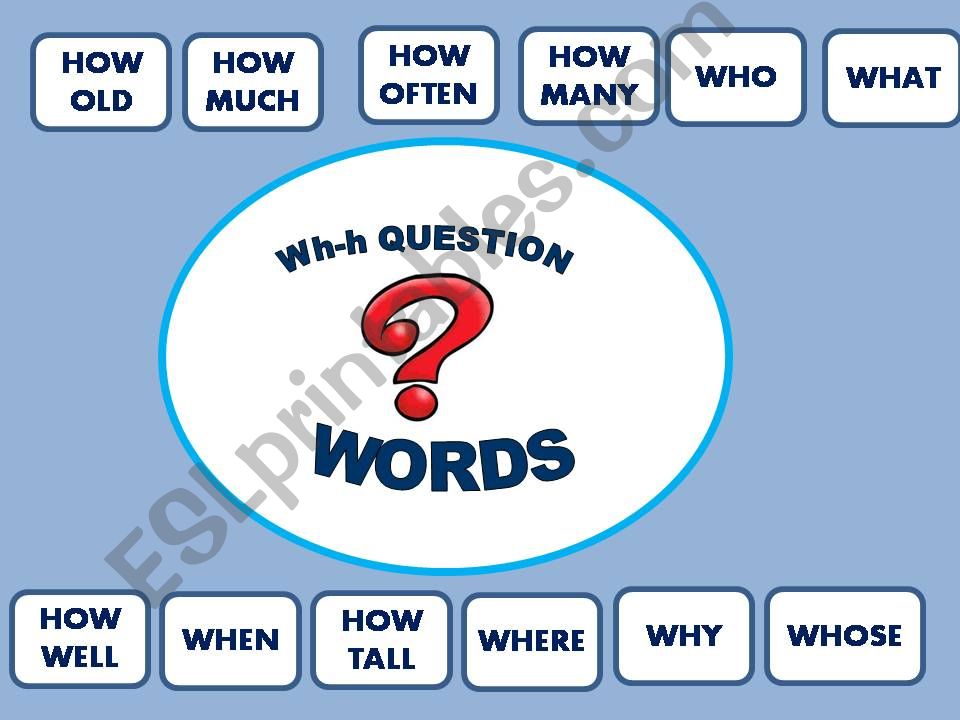 interrogative words and questions