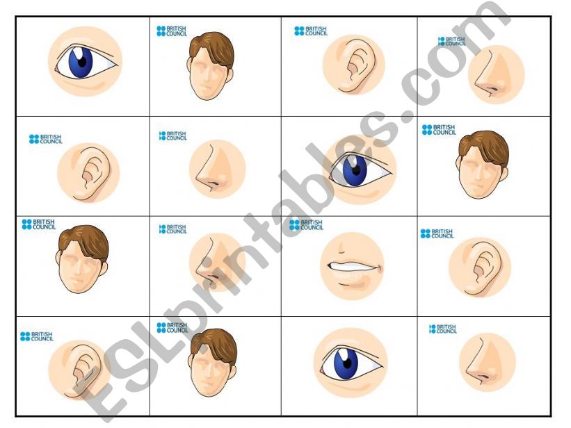 Parts of the body bingo powerpoint