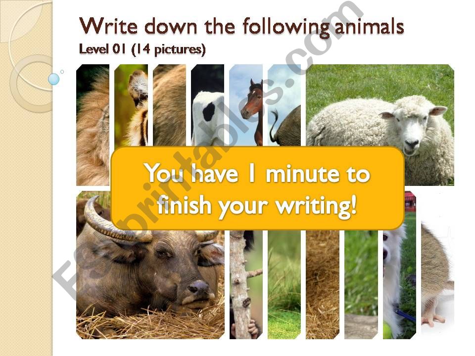 Write down the animals powerpoint