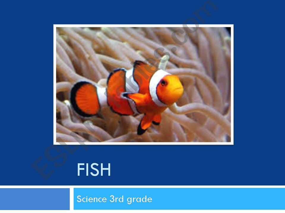 Fish Power Point Vertebrates powerpoint