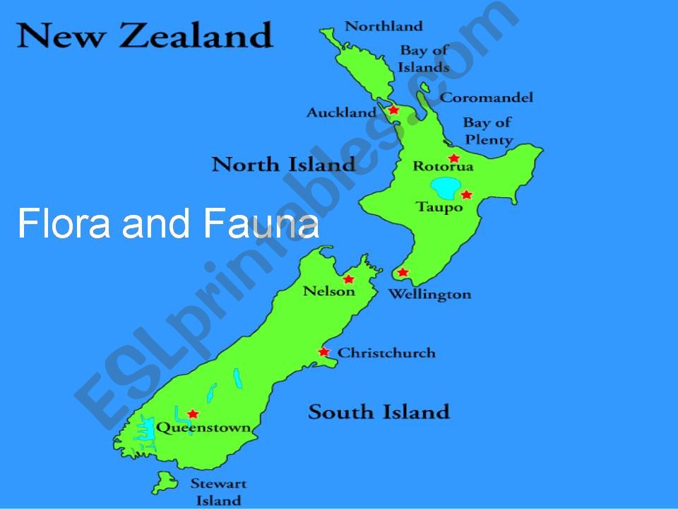 New Zealands flora and fauna powerpoint