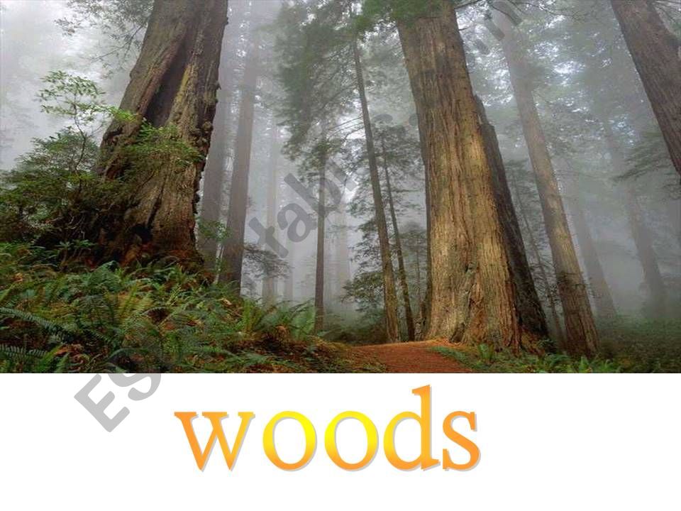Life in Nature powerpoint
