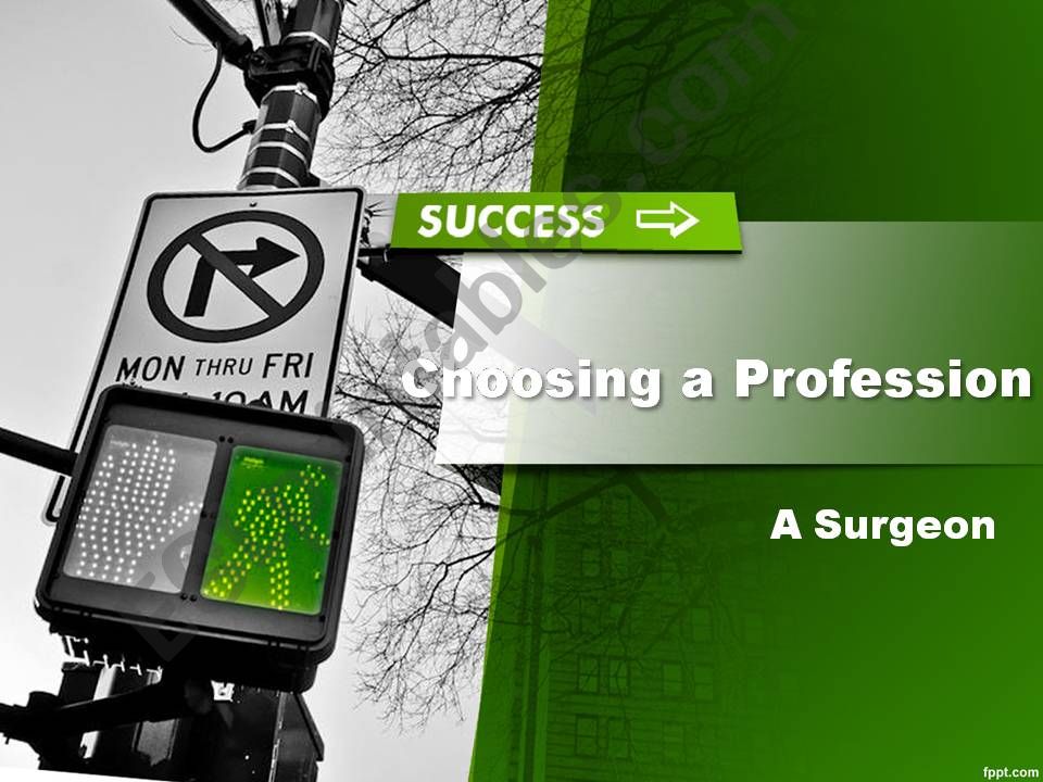 Choosing a Profession powerpoint