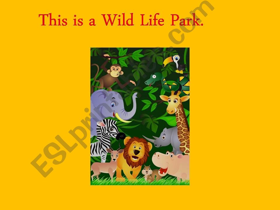 Wild Animals powerpoint