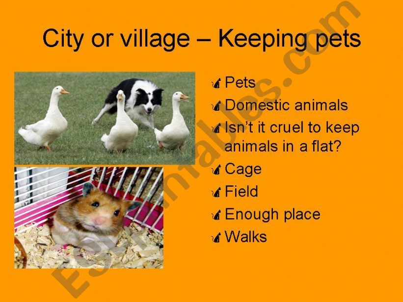 city or village powerpoint