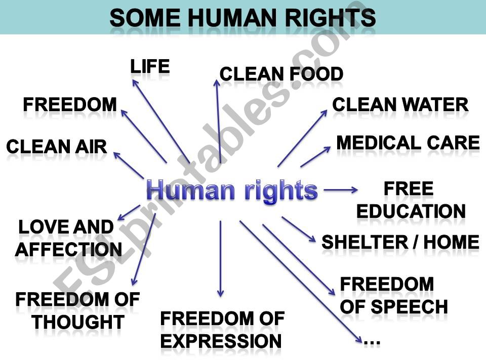 Human rights powerpoint