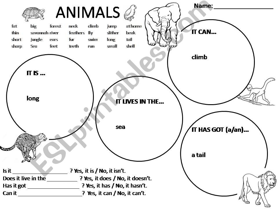 Animals Description powerpoint