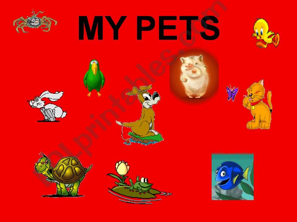 My pets powerpoint