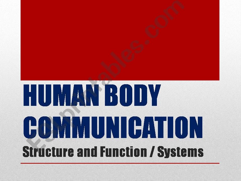 Human Body Communication: structure and function / systems
