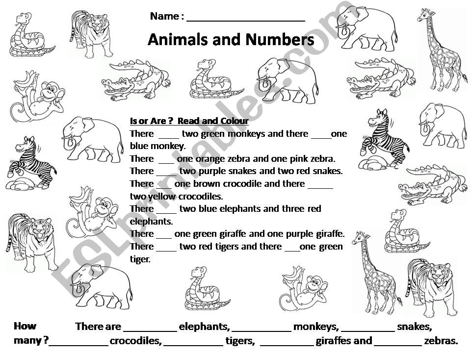 Animals and Numbers, Is / Are Worksheet