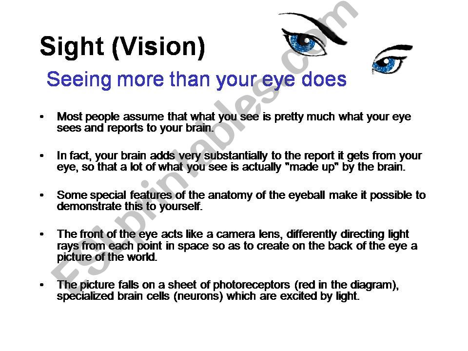 Optical Illusions powerpoint