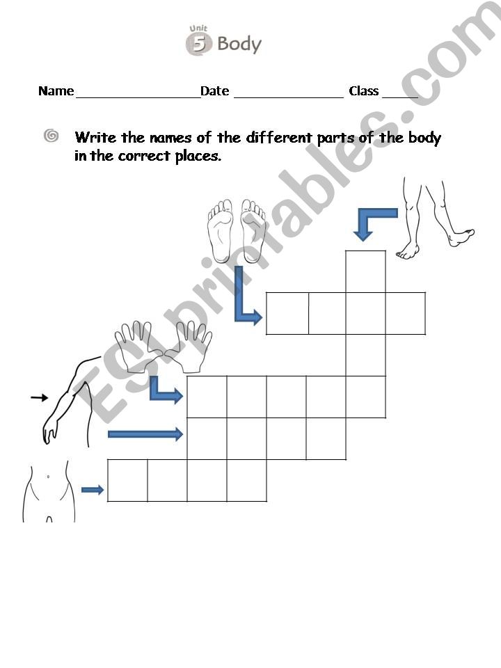 UNIT 5: BODY powerpoint