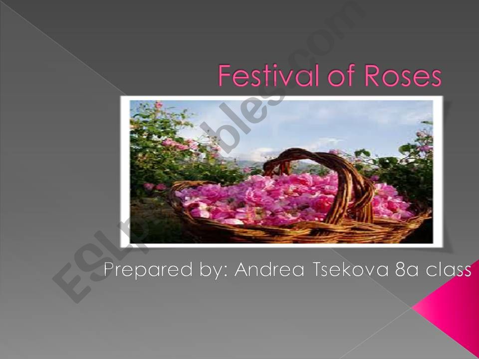 Rose Festival  powerpoint