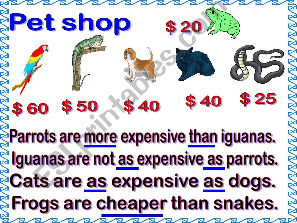 PET SHOP powerpoint