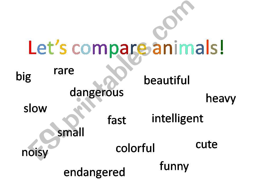lets compare animals powerpoint