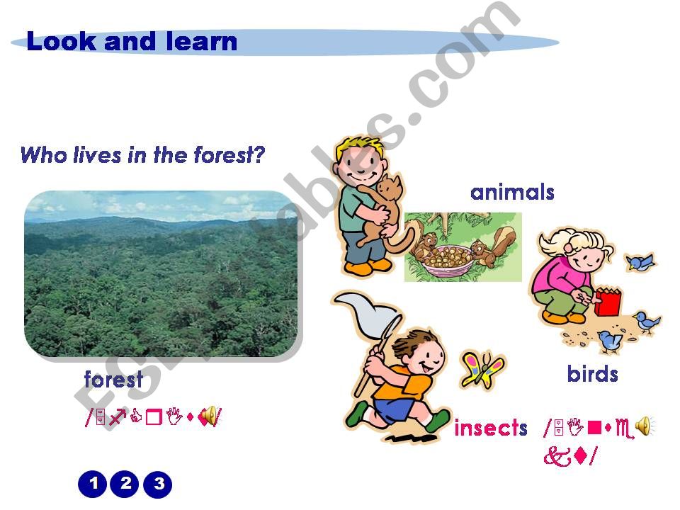 words about forests powerpoint