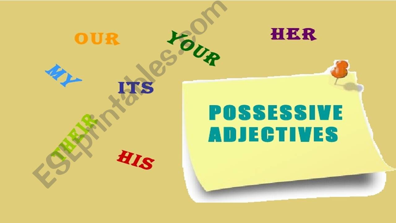 possessive adjectives powerpoint