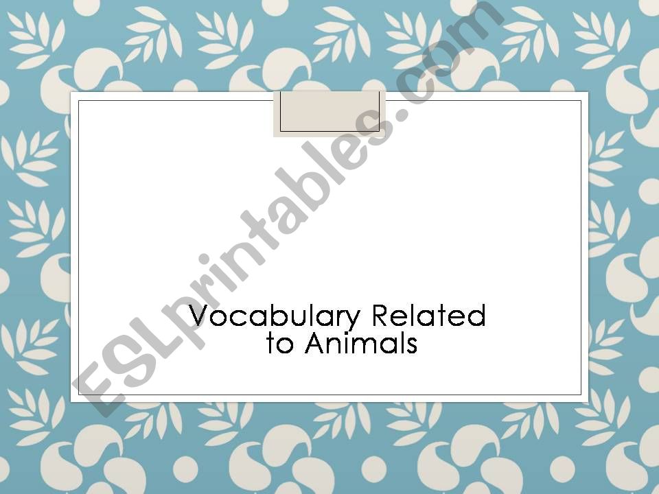 Vocabulary about animals powerpoint