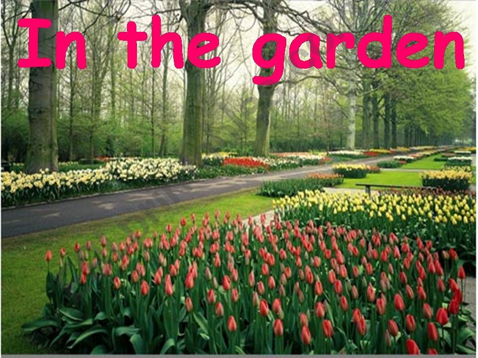 In the Garden PPT powerpoint